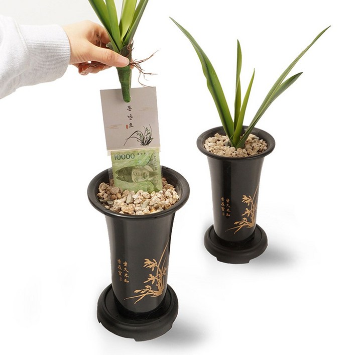 뽑으면 돈이 나오는 난초 용돈박스