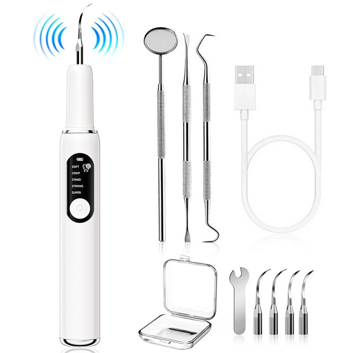 스마트 진동 구강 클리너 LED 라이트 휴대용 셀프 치석제거기, 화이트