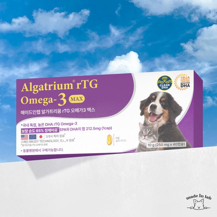 메이드인랩 강아지 영양제 고양이 오메가3 순도85 알가트리움, 1박스, 오메가3, 40정
