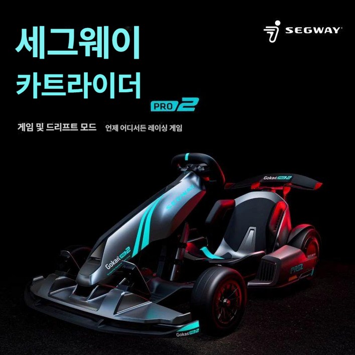 카트 PRO2 드리프트 전기차 고카트 세그웨이카트라이더 세그웨이드리프트
