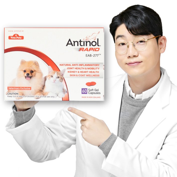 안티놀 래피드 60정, 뼈관절강화, 19.2g, 1개