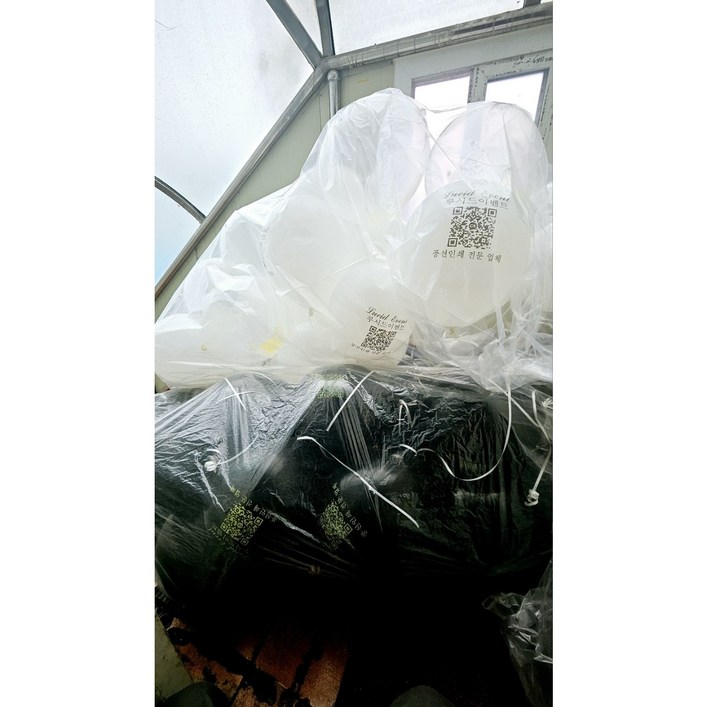 인쇄 풍선 제작, 1000개, 헬륨 주입 차량배달 옵션 인쇄 풍선 제작, 1000개, 헬륨 주입 차량배달 옵션