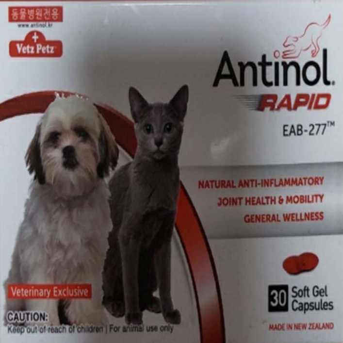안티놀 래피드 30정 (강아지,고양이 관절영양제), 안티놀 래피드, 30정, 30캡슐 - 쇼핑앤샵