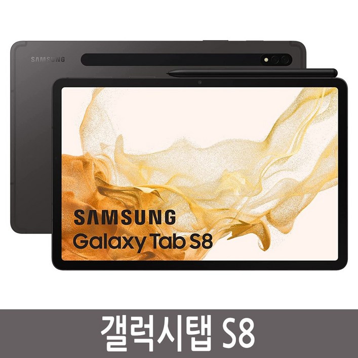 삼성전자 갤럭시탭 S8 SM-X700