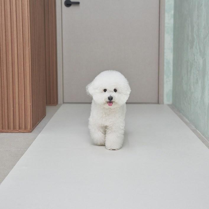 슈퍼펫 펫러그 강아지매트 실리콘 논슬립 매트, 1개, 아이보리