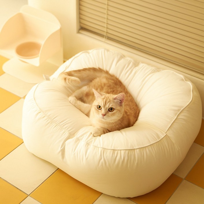 동원아르르 고양이 꿀잠 해먹방석 모달 Ver