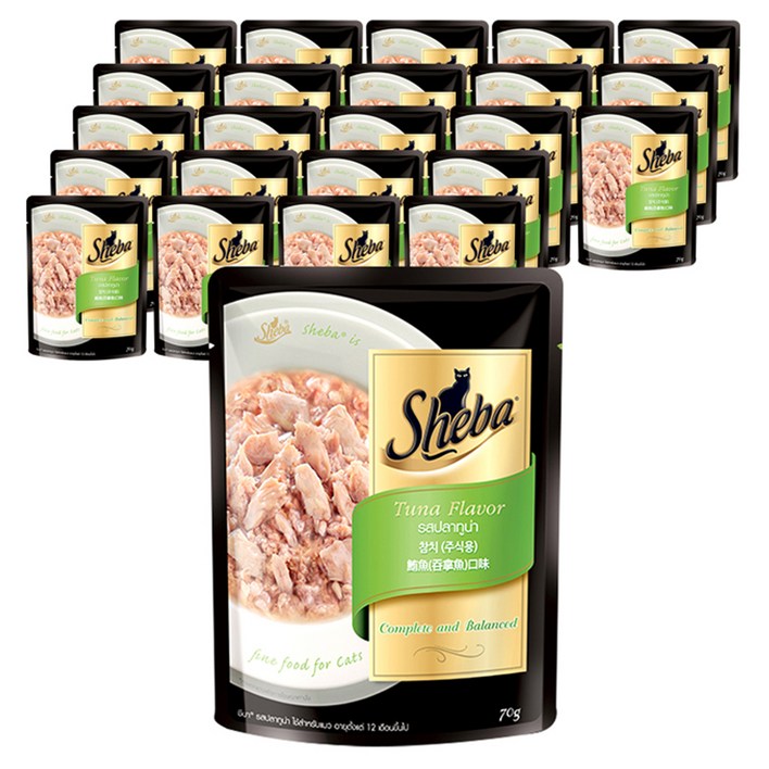 쉬바 1세 이상 고양이 주식 파우치