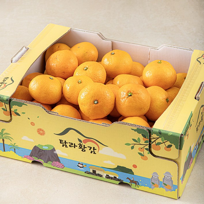 탐라황감 당도선별 10brix 하우스감귤, 5kg랜덤과, 1개