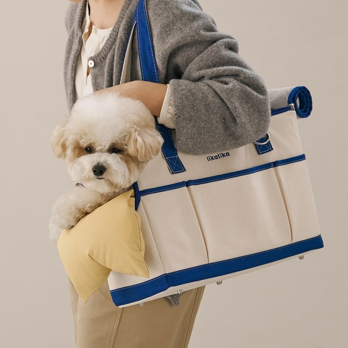 리카리카 반려동물 리카백 이동가방 + 쿠션 + 크로스끈 세트, 크림 + 딥블루 + 버터, 1개