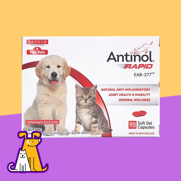 안티놀래피드 안티놀 래피드 90캡슐 강아지 고양이 관절영양제