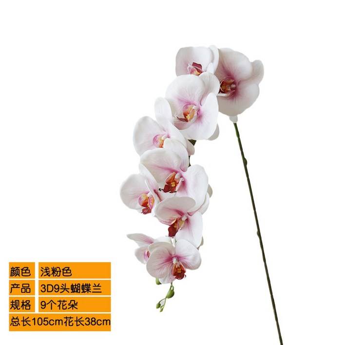 가벼운 촉감 보습 10 40g 오브 오드퍼퓸 본품 175ml 오르페옹 휴대용 27G2