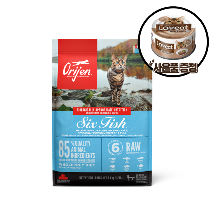 오리젠 6 피쉬캣 반려묘 사료+사은품 증정