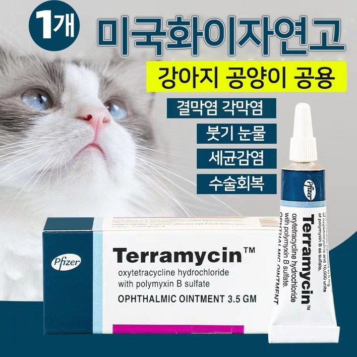 미국수입 Terramycin 반려동물 눈염증연고 강아지 결막염 눈물개선/눈건강 5통구입제한 C-0352, 1개, 3.5g 19,000