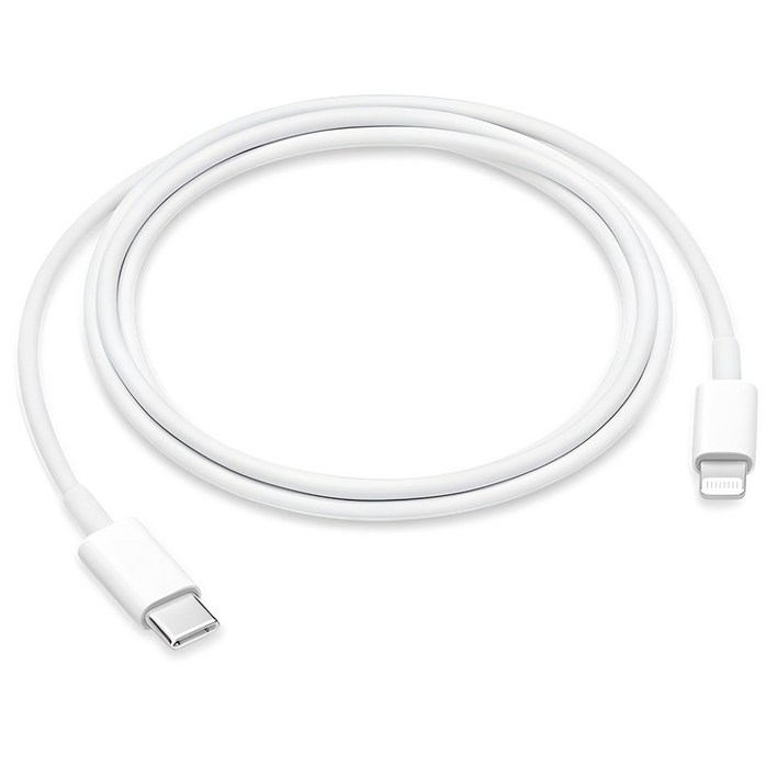 Apple 정품 Lightning-C타입 충전 케이블