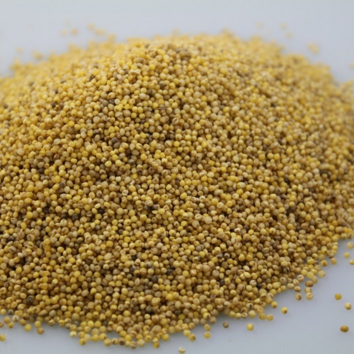 2025년 국산 메조 메좁쌀 찰기없는 좁쌀 모조, 1개, 3kg