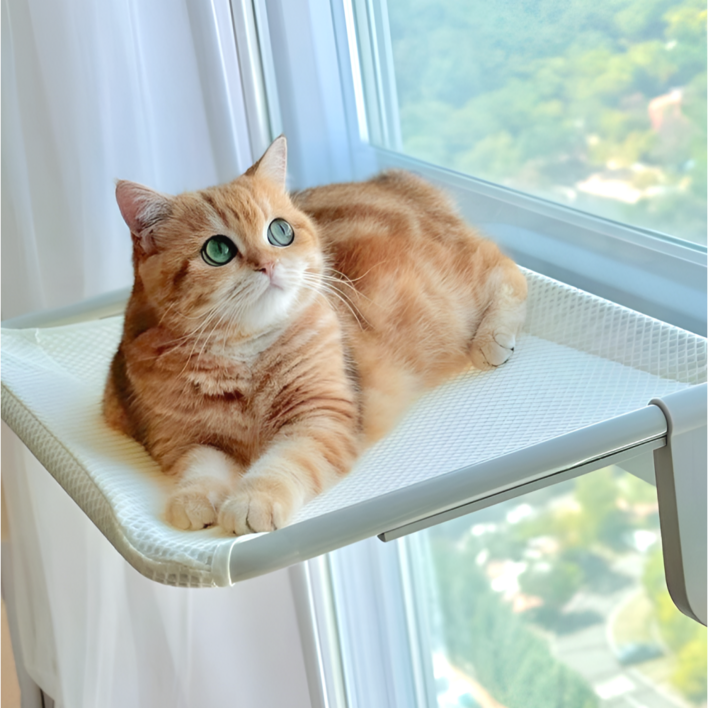 오르펫 고양이해먹 창문해먹 창틀 침대 캣타워 캣워크