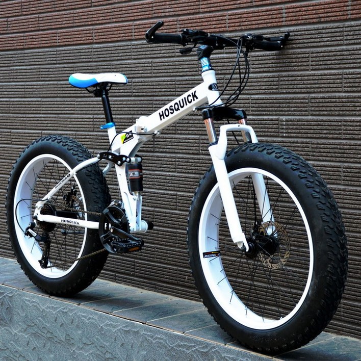 20인치 접이식 폴딩 스쿠터 전동 전기 바이크  팻바이크 펫바이크 가성비 자전거