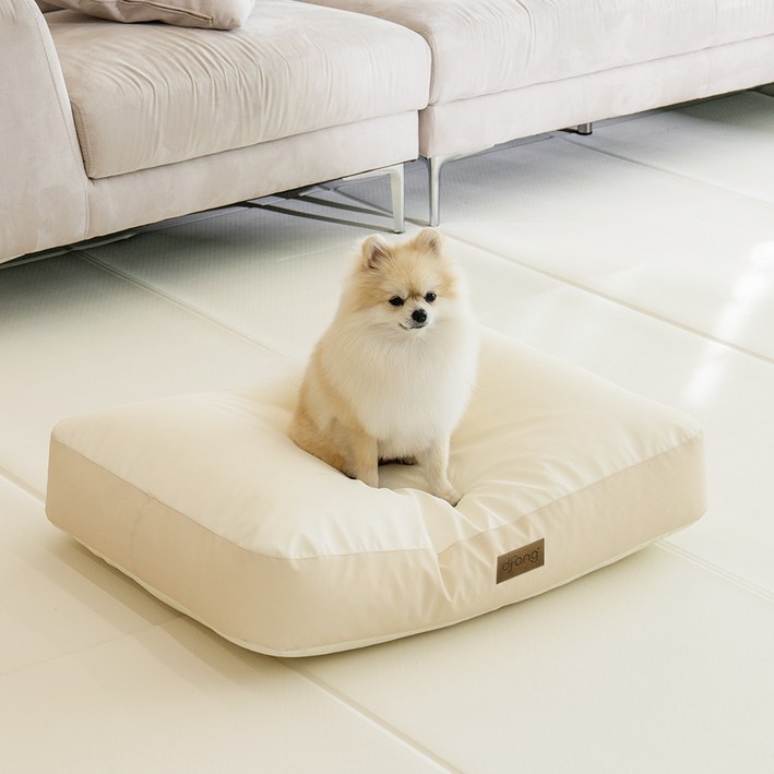 디팡 반려동물 펫플레이 엄마품 사각 빈백 방석 쿠션