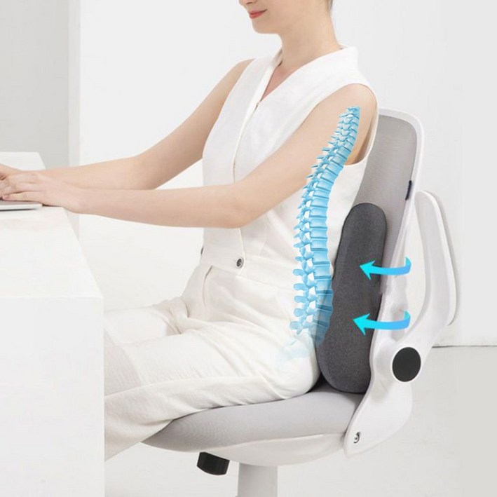 바디앤에어 메모리폼 등받이 요추전만 쿠션