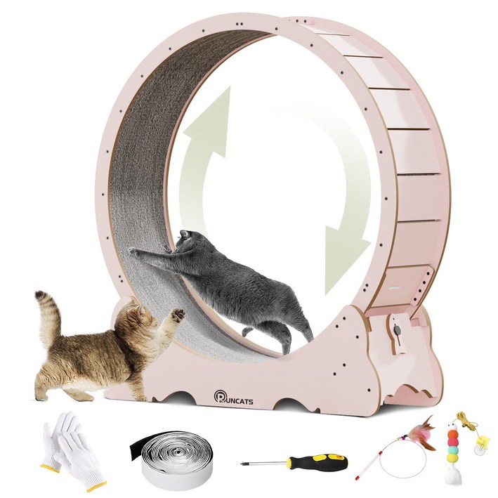 런캣 캣휠 롤러 실내사용 고양이 운동훈련 헬스 캣휠 원목색 다양한