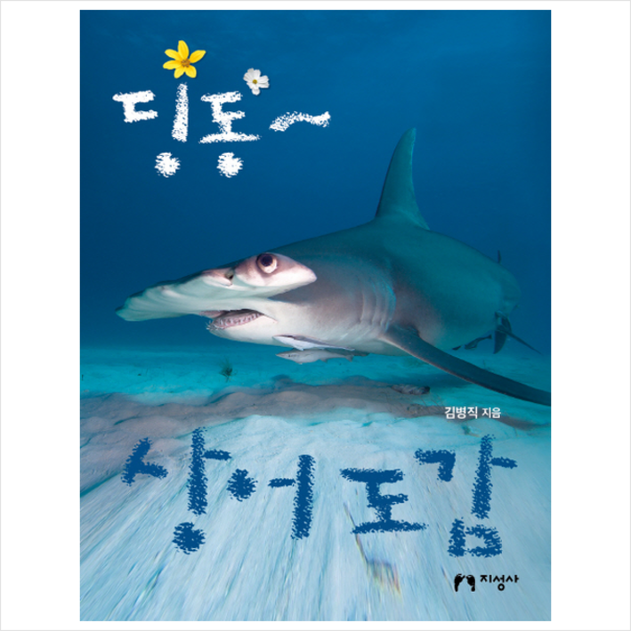 딩동 상어 도감, 지성사