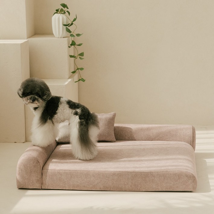 펫더팬 프리미엄 강아지 고양이 애견 침대 소파 방석 슬개골 보호, 스위티 핑크, 1개