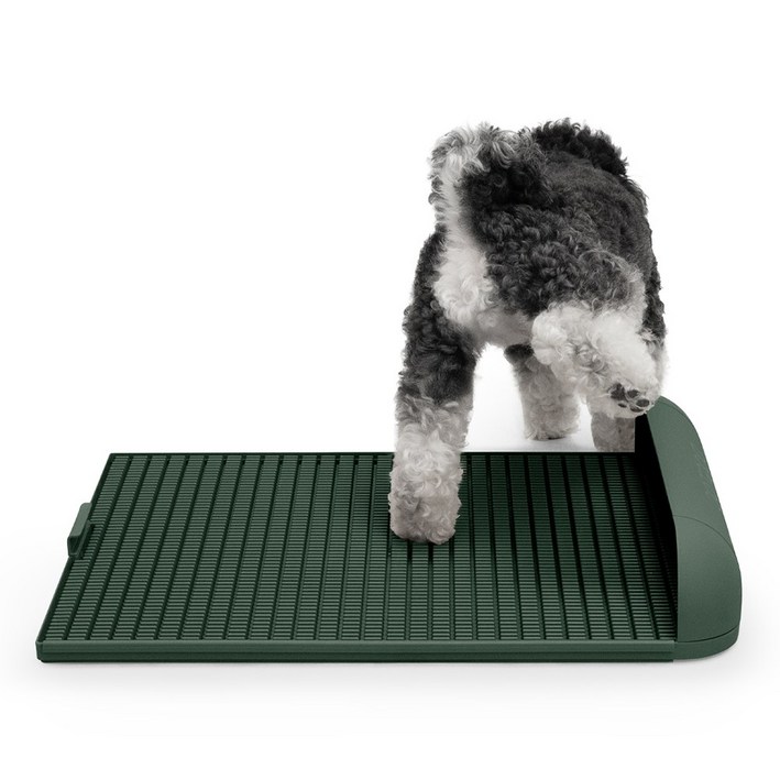 독톡 강아지 배변판 패드필요없음, L배변판올리브그린, 1개