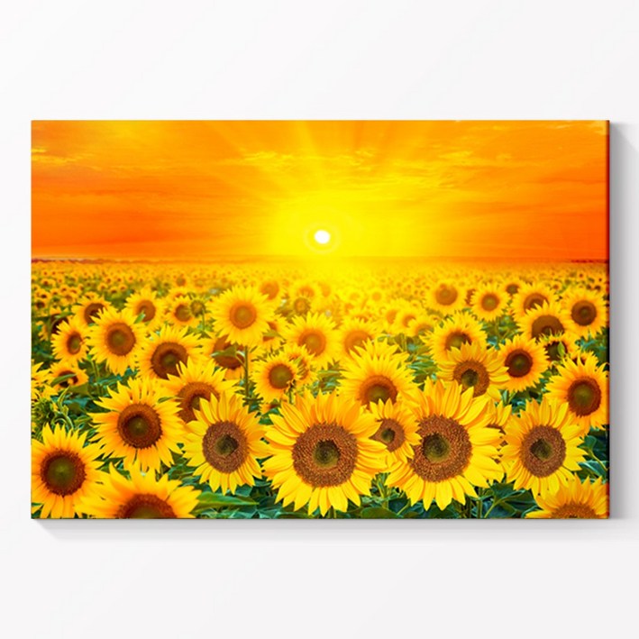 [인메이블] 돈들어오는 빅돈벼락 해바라기 그림 액자 거실 풍수 재물복 금전운 인테리어 소품 개업 선물