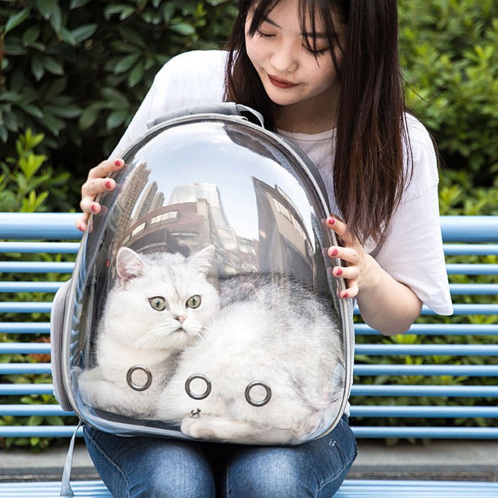 딩동펫 반려동물 투명우주선 백팩