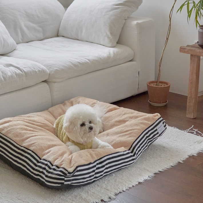 레드퍼피 반려동물 세루아 대형쿠션