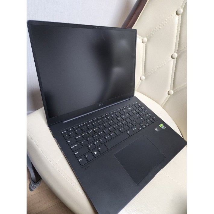 LG전자 그램 Pro 16 코어 울트라7 지포스 RTX 3050 LG전자 그램 Pro 16 코어 울트라7 지포스 RTX 3050