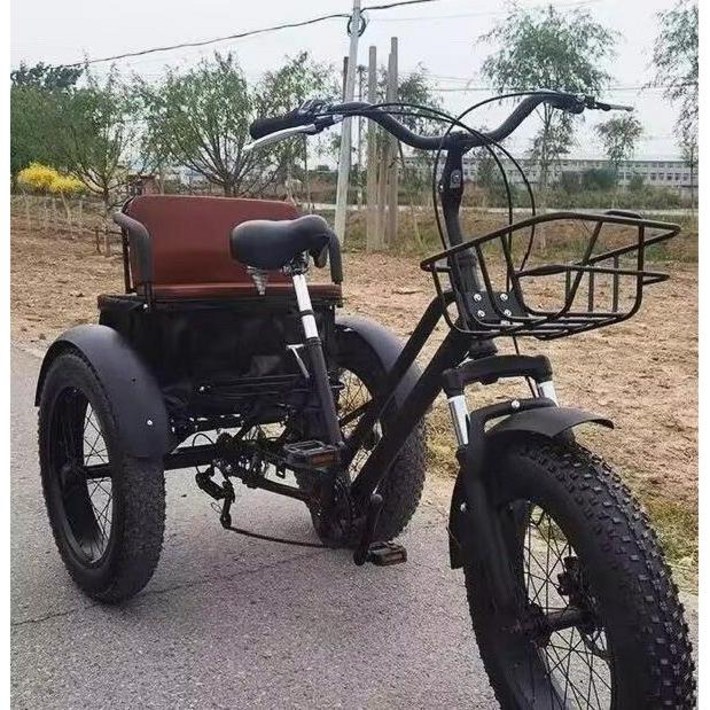 성인용 전동 세발 전기 자전거 어르신 노인 3륜 경량 할머니 시장 장보기