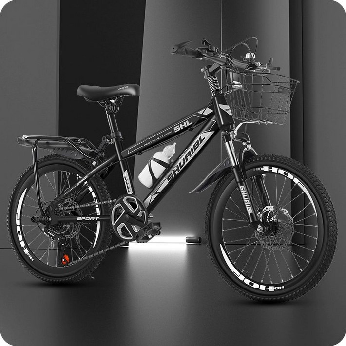 22인치자전거 주니어 초등 저학년 케이투바이크