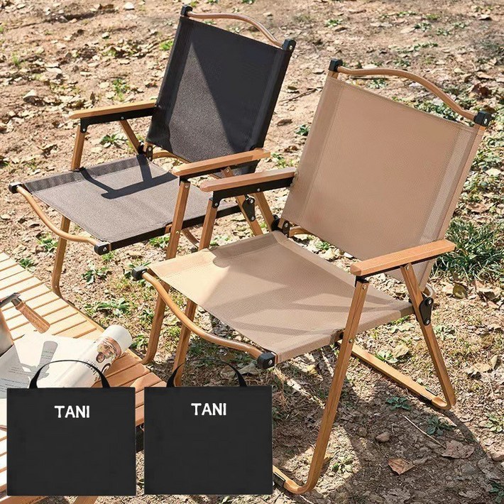 TANI 접이식 경량 체어 2개  수납가방 2개 대형, 블랙, 1세트