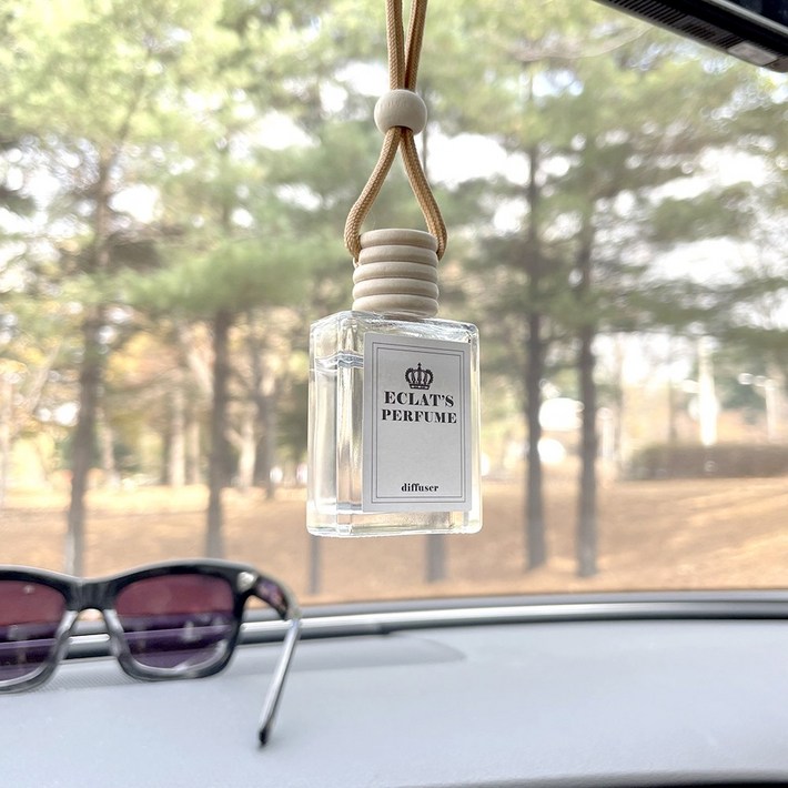 에클라스 명품향수 디퓨저 대용량 차량용 룸미러 송풍구 겸용 방향제, 2개, 아쿠아 파나레아 18ml