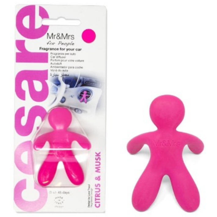 미스터앤미세스 체사레 블리스터 차량용 방향제, 20개, 시트러스머스크향