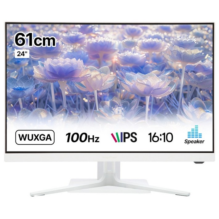 인터픽셀 IP2418 WUXGA IPS 100Hz 화이트 사무용 모니터 아이케어, IP2418일반, 61cm