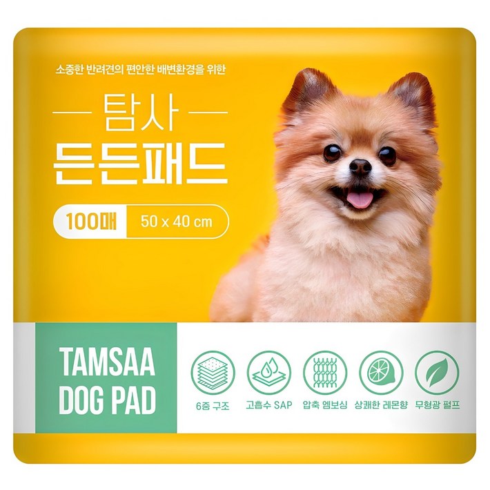 탐사 고흡수 든든패드 레몬향, 100개입, 1개