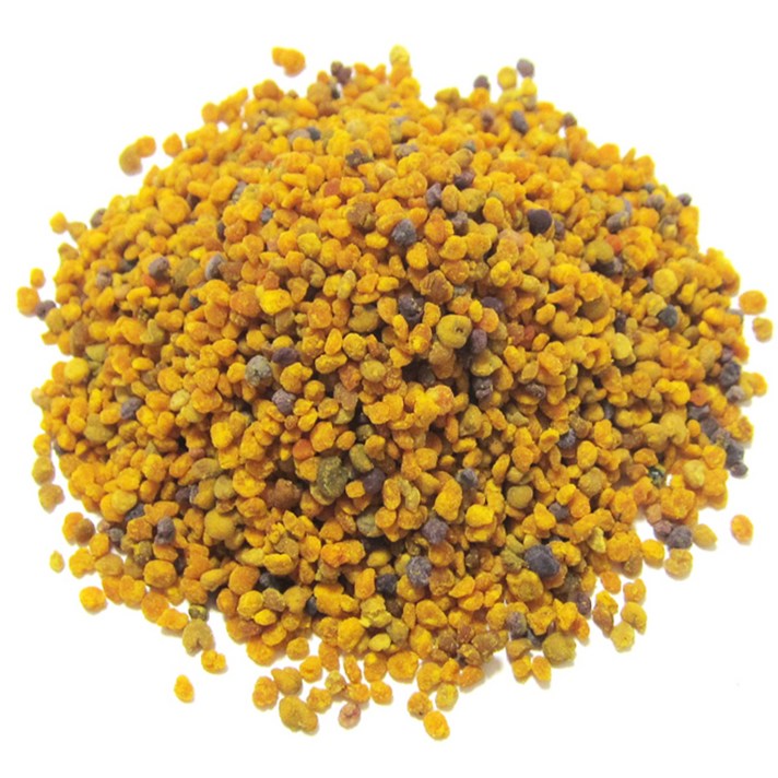 갑당약초 비폴렌 벌화분 실속형, 500g, 1개