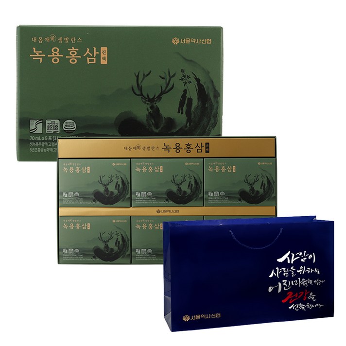 서울약사신협 내몸애 생발란스 녹용홍삼 진액 + 쇼핑백, 70ml, 30포