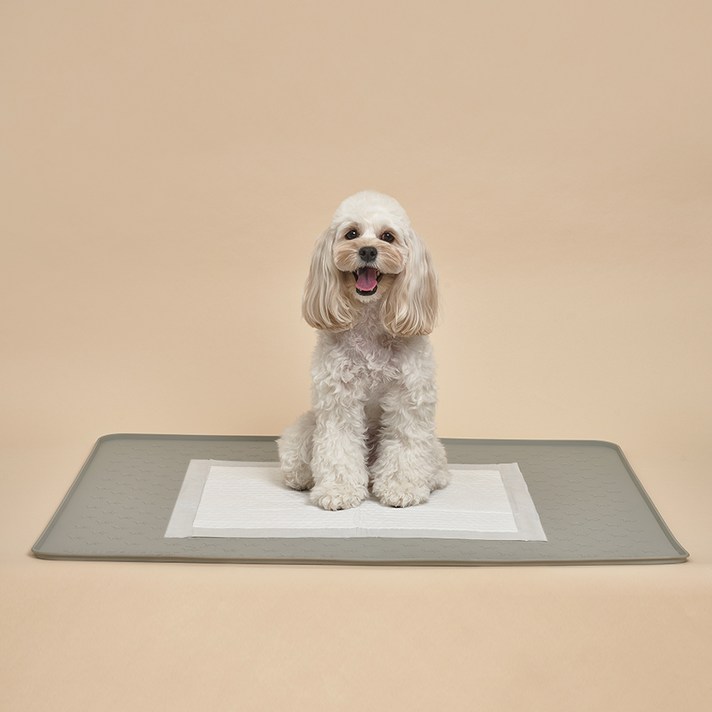 도그아이 SUPERPET 반려동물 논슬립 실리콘 배변매트