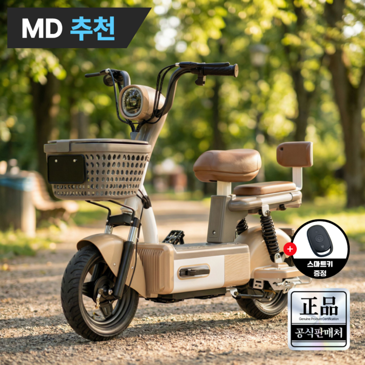 루토 전기자전거 26년 신형 고출력 전동 스쿠터 자토바이 배달 출퇴근 오토바이, 브라운, 경량스틸