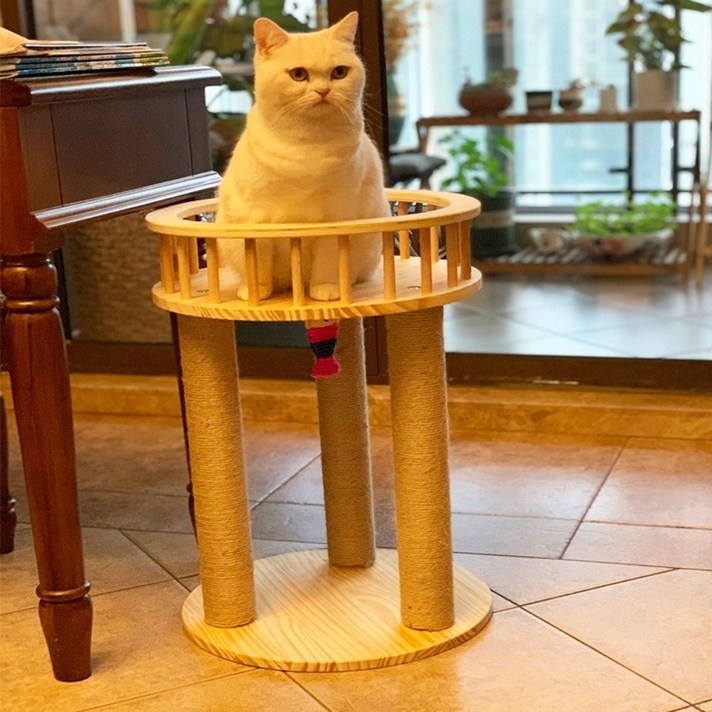 강아지식탁의자 고양이 식탁의자 애완견 우드 캣타워