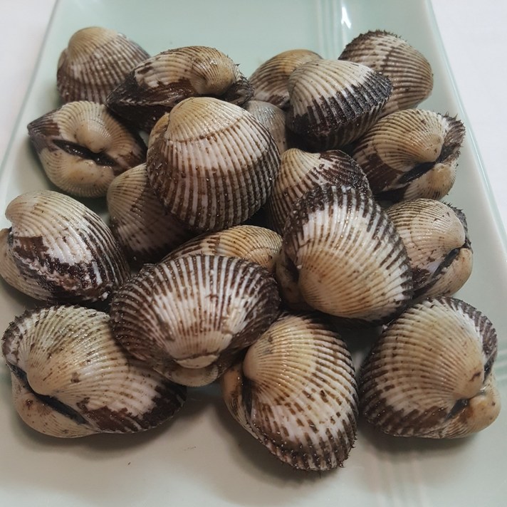 [보성농수산] 통통하고 맛있는 벌교새꼬막 중대 2kg 당일채취 산지직송 벌교우체국택배로 보내요, 1개, 새꼬막 대 2kg
