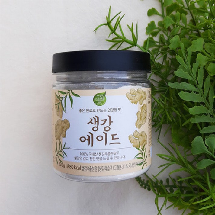 건강음료 생강차 생강 에이드 분말 [220g]