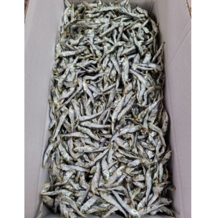  삼천포 죽방 햇 솔치 청어 볶음용 찍어먹는작은용, 1개, 1.5kg 