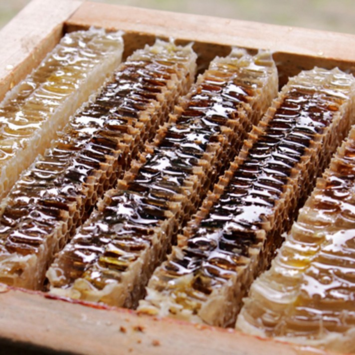 푸드공작소 국내산 벌집꿀 3.6kg 선물세트(지함포장), 1개, 3.6kg(지함포장)