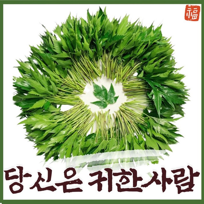 (GAP인증) 당귀잎 300g 500g 1kg 2kg 쌈채소 장아찌 (당일배송), 영양만점 당귀 500g