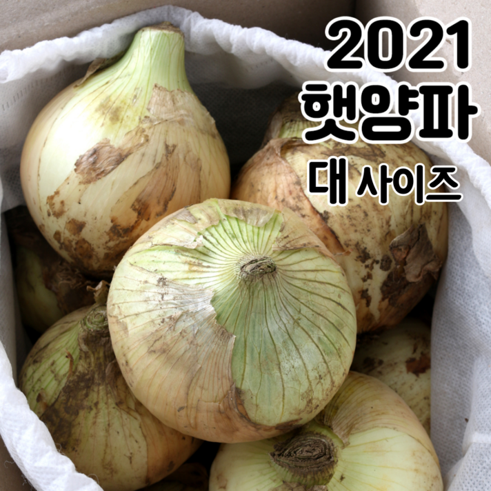 내고향농수산 햇 양파 3kg 5kg 10kg, 2021년 햇양파 10kg