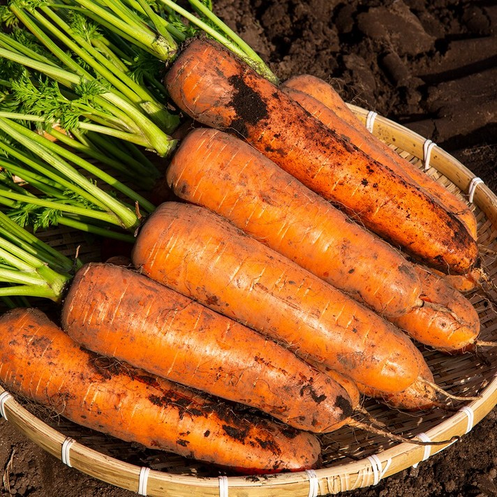 야채삼촌 당근 햇당근 제주 경남 강원 3kg 5kg 10kg 흙당근, 3kg(미니), 1개